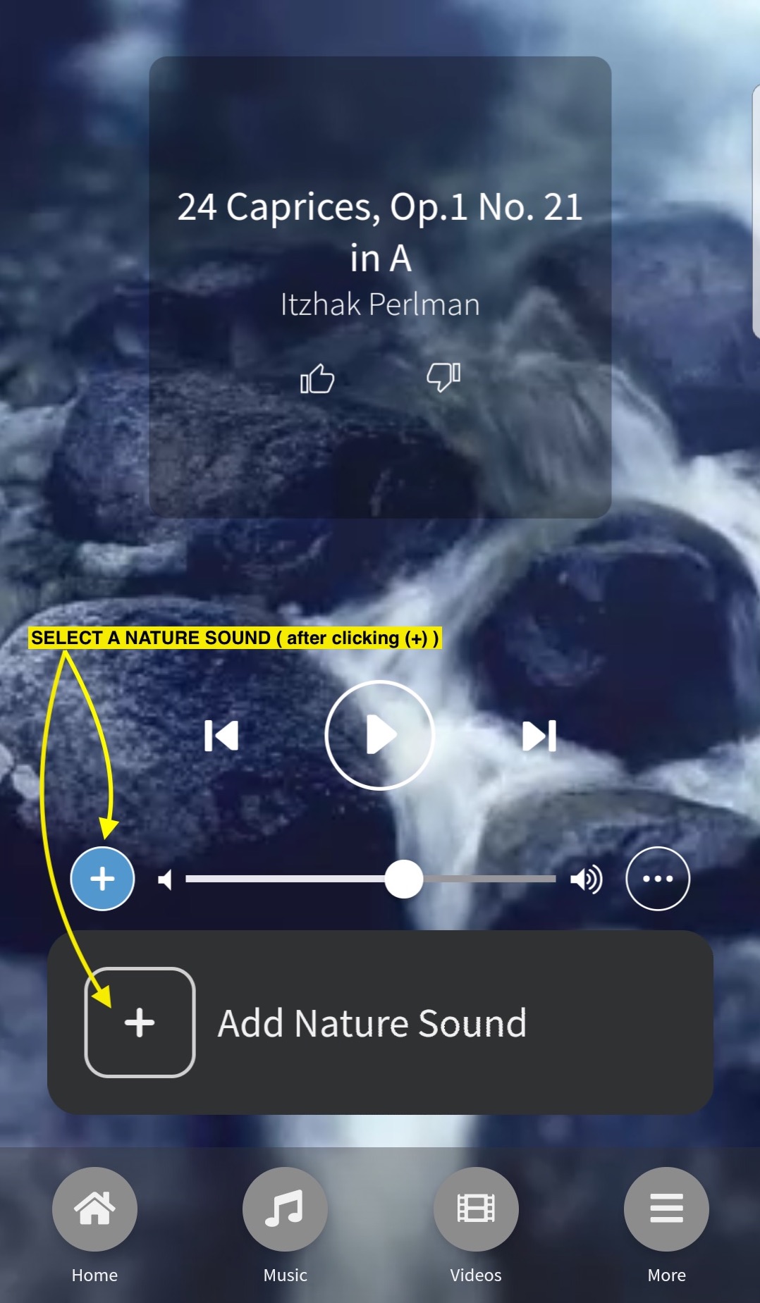 nature_sounds-new-1-fixed1.jpg