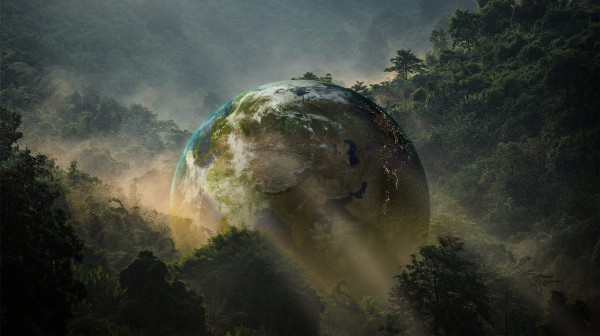 Celebrating Earth Day: The Healing Power of Nature Sounds | Calm Radio