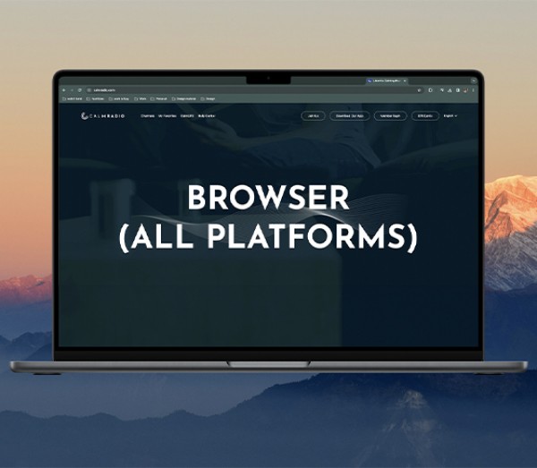 USING A COMPUTER BROWSER